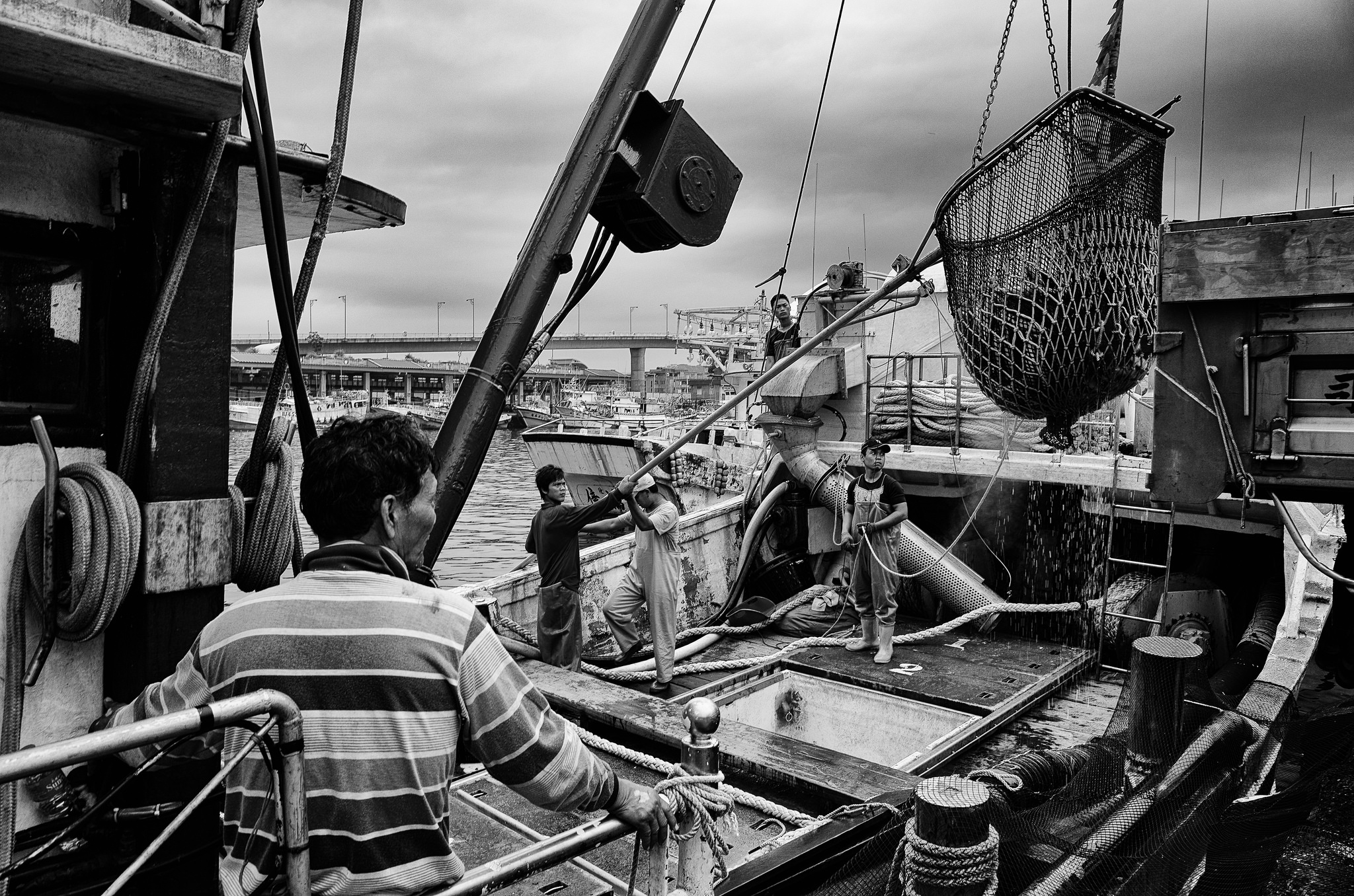 Barco pesquero. Foto por Jorge Gonzalez
